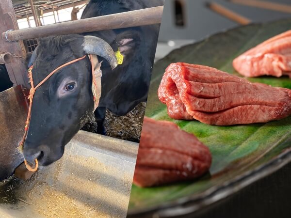 健康品質へのこだわり